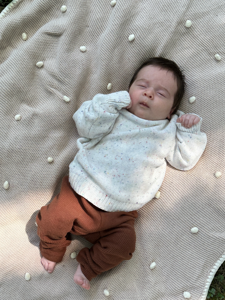 Fleece Sherpa Lined Pants: Brown
